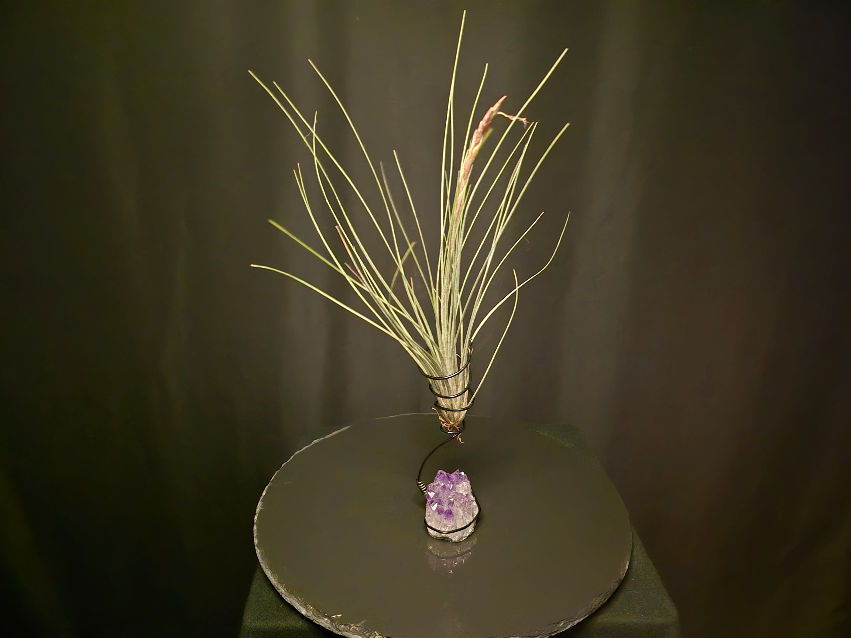 Tillandsia × Floridiana with Amethyst Cluster