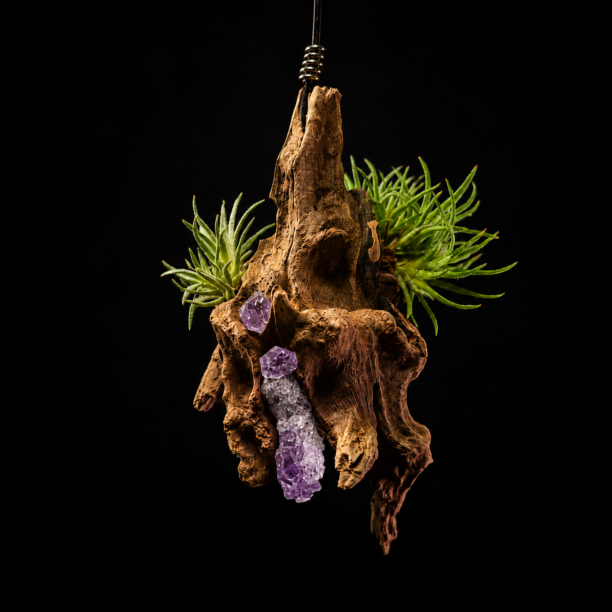 Seedling Harrisii Hanging Display with Amethyst